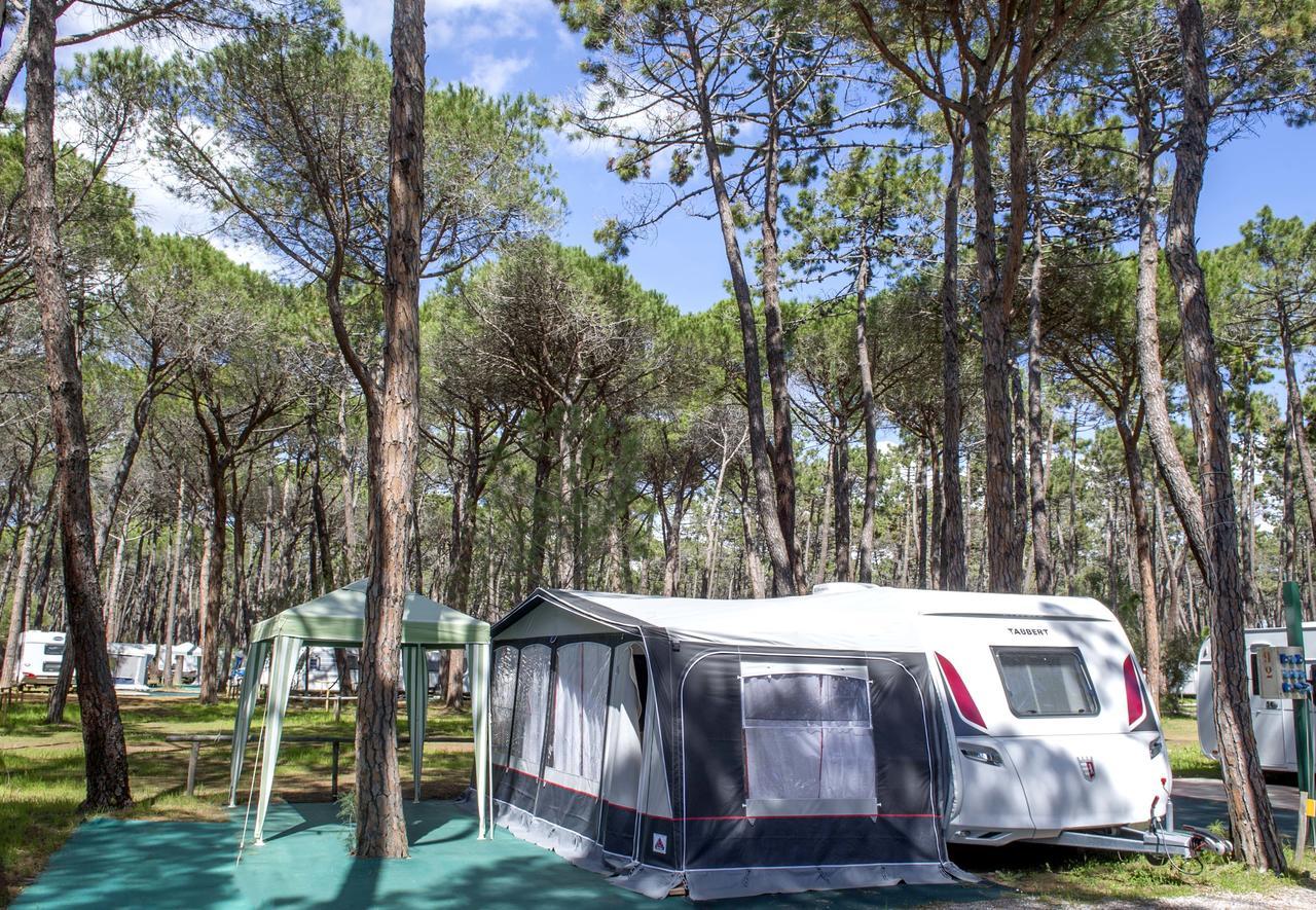 Campeggio Baia Verde カスティリオーネ・デッラ・ペスカーイア エクステリア 写真