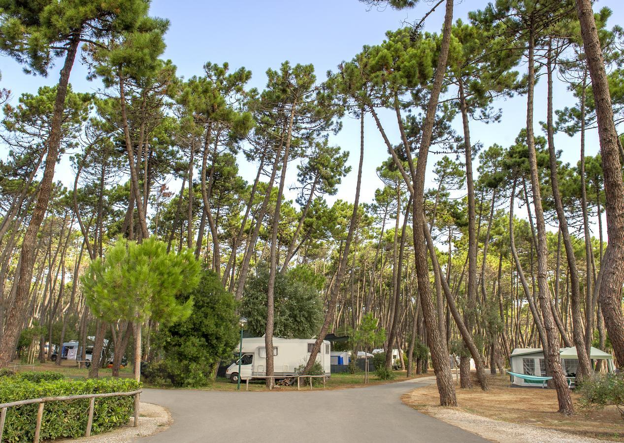 Campeggio Baia Verde カスティリオーネ・デッラ・ペスカーイア エクステリア 写真